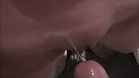 ذيلها فلم سكسي مترجم ...