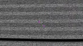 (جويس أوليفيرا) سكسي ...