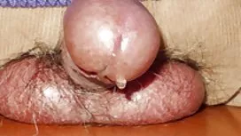 عاهرة بتنورة بدون سك ...