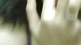 الجنس المهبلي في الأ ...